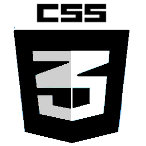 css3